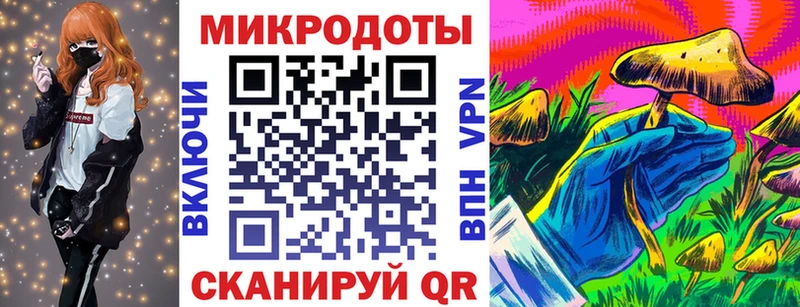 Псилоцибиновые грибы мицелий  где купить   Пыталово 